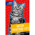 British Shorthair Cats - Library Binding