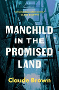 Manchild in the Promised Land - Paperback