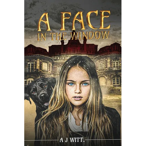 A Face in the Window - Paperback