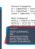 Deep Learning, an introduction with two nice short examples - Paperback