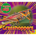 Grasshoppers - Paperback