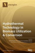 Hydrothermal Technology in Biomass Utilization & Conversion - Hardcover