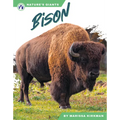Bison - Paperback