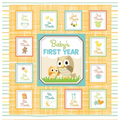 Baby's First Year - Hardcover
