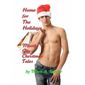 Homo For The Holidays: A Collection of Mostly Gay Christmas Tales - Paperback