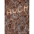 Hugh Hayden: American Vernacular - Paperback
