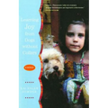 Learning Joy from Dogs Without Collars - Paperback