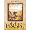 Divine Encounters... - Paperback