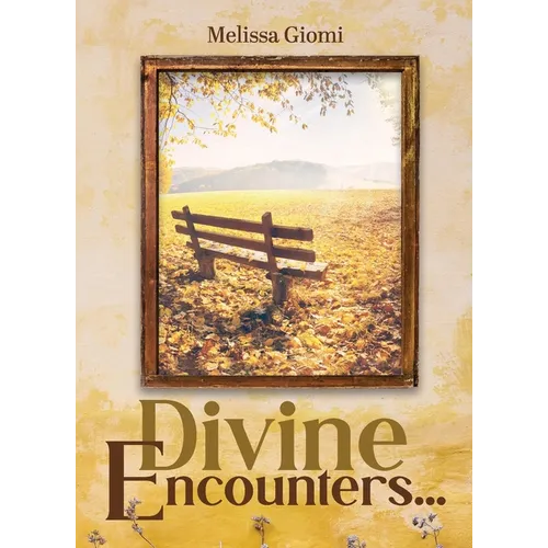 Divine Encounters... - Paperback