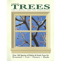 A Book of Trees for Florida and the Subtropics - Paperback