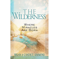 The Wilderness: Where Miracles Are Born - Paperback