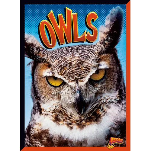 Owls - Paperback