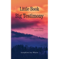 Little Book, Big Testimony: How Vulnerability led to Victory - Paperback