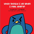 What should I do when I feel angry? - Paperback