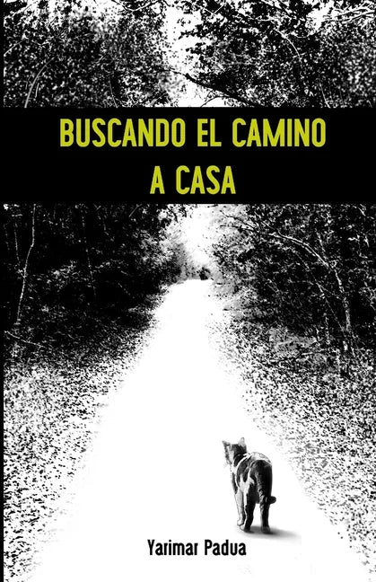 Buscando el Camino a Casa - Paperback