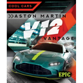 Aston Martin V12 Vantage - Library Binding