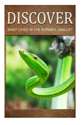 What Lives in the Borneo Jungle? - Discover: Early reader's wildlife photography book - Paperback