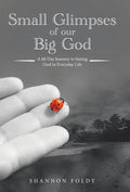 Small Glimpses of Our Big God: A 60 Day Journey to Seeing God in Everyday Life - Hardcover