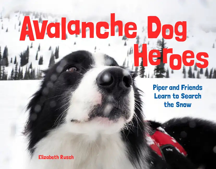 Avalanche Dog Heroes: Piper and Friends Learn to Search the Snow - Hardcover