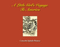 A Little Girl's Voyage To America - Paperback