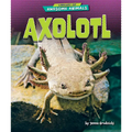 Axolotl - Paperback