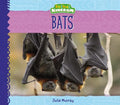 Bats - Library Binding