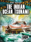 The Indian Ocean Tsunami - Library Binding