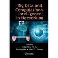 Big Data and Computational Intelligence in Networking - Paperback