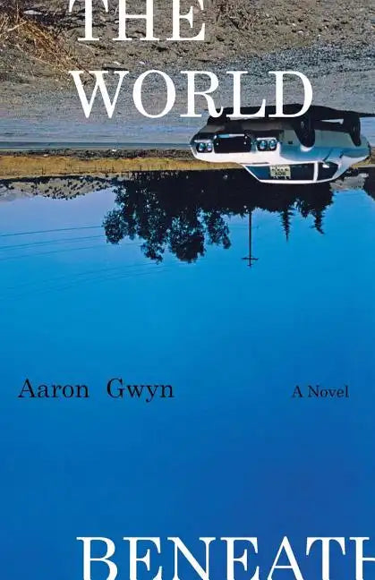 The World Beneath - Paperback
