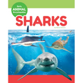 Sharks - Library Binding