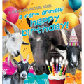 A Farm Animals' Happy Birthday: For the love of rescued animals. - Paperback