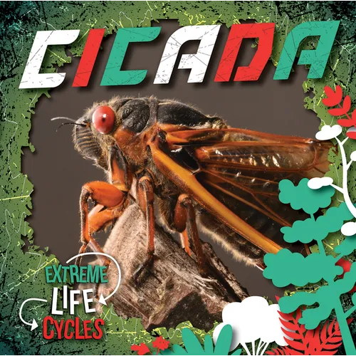 Cicada - Paperback