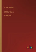 Child of Storm: in large print - Paperback