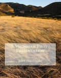 A Michigan Photo Presentation - Paperback