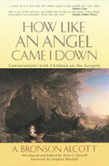 How Like an Angel Came I Down - Paperback