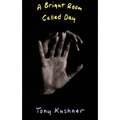 A Bright Room Called Day - Paperback