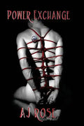 Power Exchange (Power Exchange #1) - Paperback