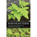 Northeast Ferns: A Field Guide to the Ferns and Fern Relatives of the Northeastern United States - Paperback