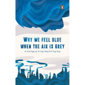 Why We Feel Blue When the Air Is Grey - Paperback