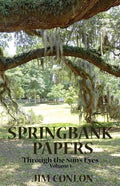 Springbank Papers: Through the Sun's Eyes - Paperback