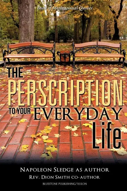 The Perscription To Your Everyday Life - Paperback