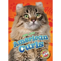 American Curls - Library Binding