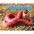 Bloodworms and Other Wriggly Beach Dwellers - Library Binding