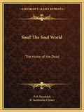 Soul! the Soul World: The Home of the Dead - Paperback