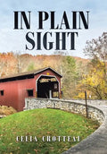 In Plain Sight - Hardcover