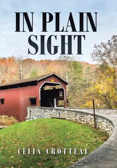 In Plain Sight - Hardcover
