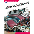 Indian Ocean Tsunami - Library Binding
