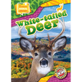 White-Tailed Deer - Library Binding