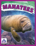 Manatees - Paperback