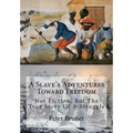 A Slave's Adventures Toward Freedom: Not Fiction, But The True Story Of A Struggle - Paperback